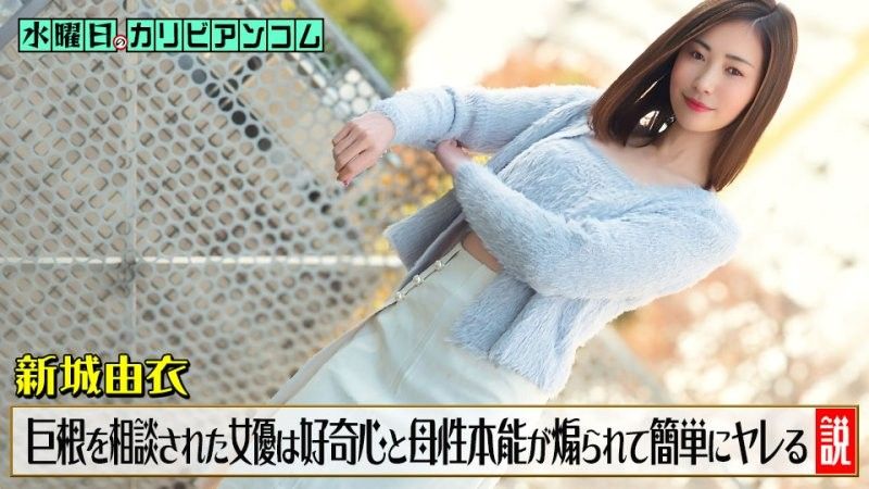 水曜日的加勒比影音 ~关于女优被谘询阴茎太大很烦恼时,好奇心与母性本能被煽动而轻易就能上钩的说法~